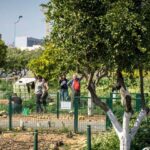 Huerto Urbano del Parque del Alamillo | Sevilla con los peques