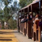 Visitas Escolares a la Reserva Andalucía donde encontrar infinidad de animales en libertad | Sevilla con los peques